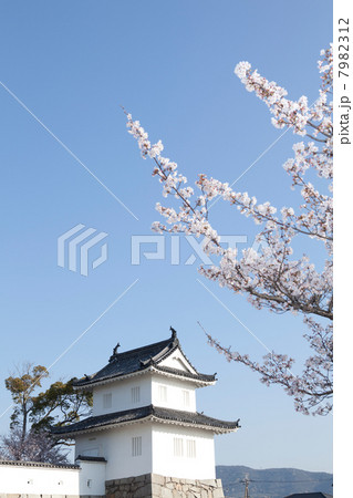 赤穂城の桜 赤穂城の桜 7982312