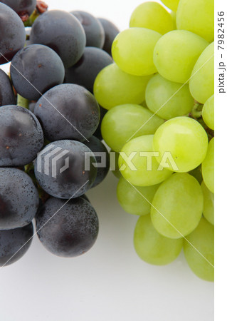 葡萄藤稔と島根クイーン 葡萄藤稔と島根クイーン 7982456