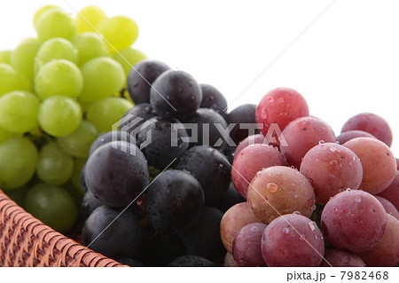 葡萄安芸クイーンと藤稔と島根クイーン 7982468