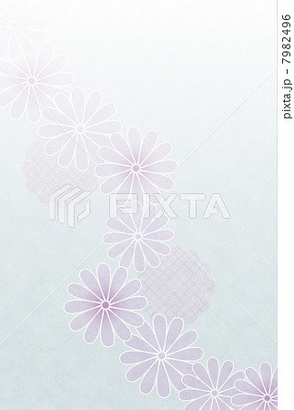 菊柄背景 7982496