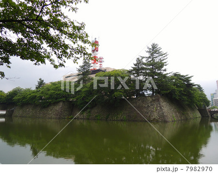福井城址 石垣 7982970