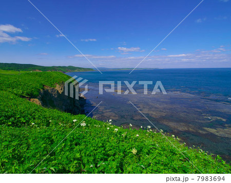 能取岬からのオホーツクの眺め、 朝 7983694