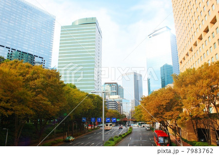 新宿副都心(公園通り) 新宿副都心(公園通り) 7983762