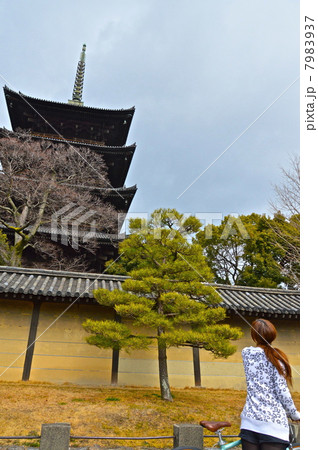 東寺(教王護国寺)の「五重塔」を見上げる若い女性（京都市南区） 7983937