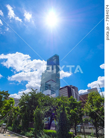 あべのハルカスと天王寺公園 あべのハルカスと天王寺公園 7984074