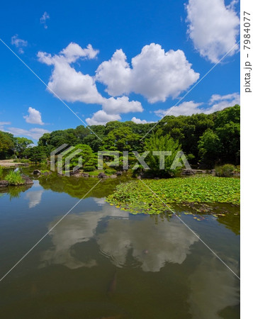 慶沢園 7984077