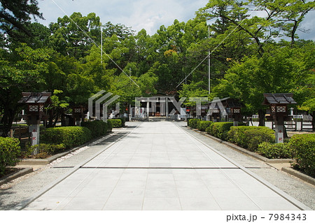 武田氏館跡 7984343