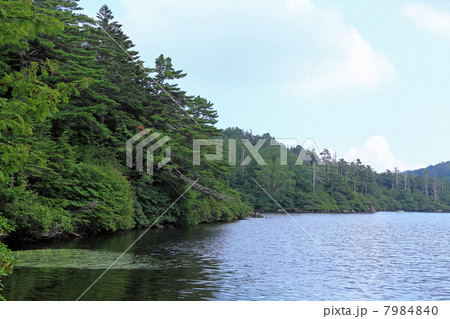 白駒の池 7984840