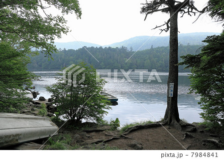 白駒の池 7984841