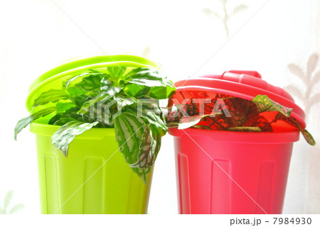 身近な緑化 7984930