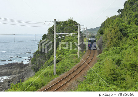 おれんじ食堂列車 7985666