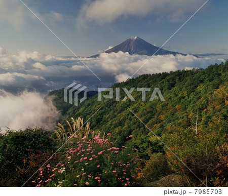 三つ峠からの富士山 7985703