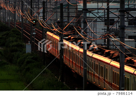 帰宅 帰宅 7986114