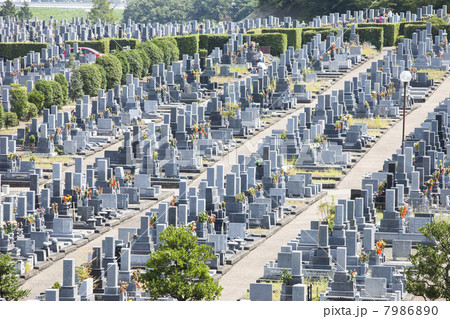 霊園 7986890