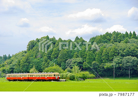 小湊鉄道 7987177