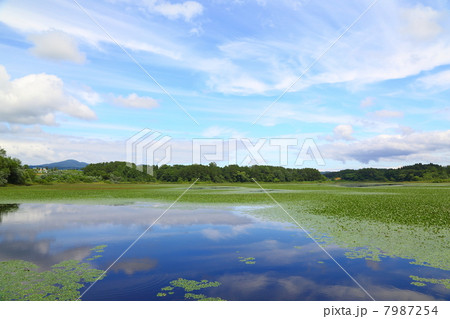 Reservoir Lake-Fujieda Reservoir Lake-Fujieda 7987254
