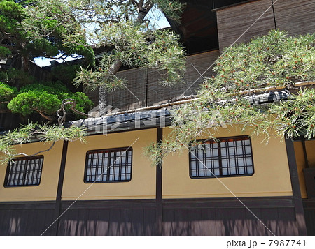 祇園 町屋 見越しの松 塀の写真素材