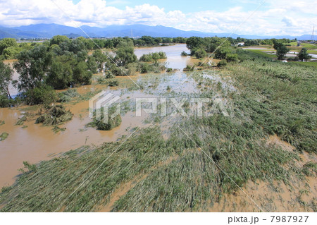 河北町の最上川 (記録的大雨の翌日) 河北町の最上川 (記録的大雨の翌日) 7987927
