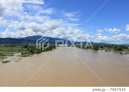 河北町の最上川　（記録的大雨の翌日） 7987930