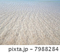 与論島の百合ヶ浜～透明なさざ波 7988284