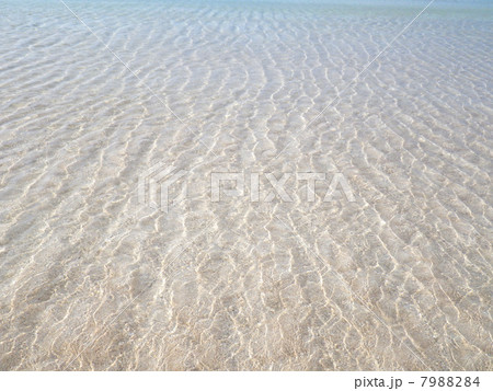 与論島の百合ヶ浜～透明なさざ波 7988284