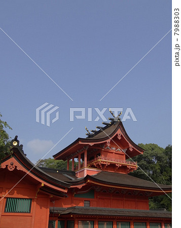富士山本宮浅間大社 7988303