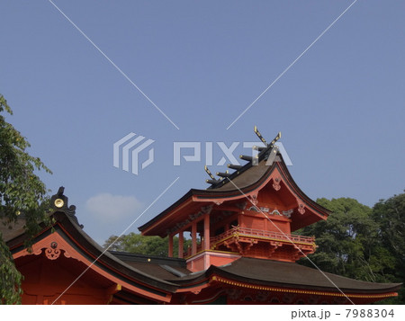富士山本宮浅間大社 7988304