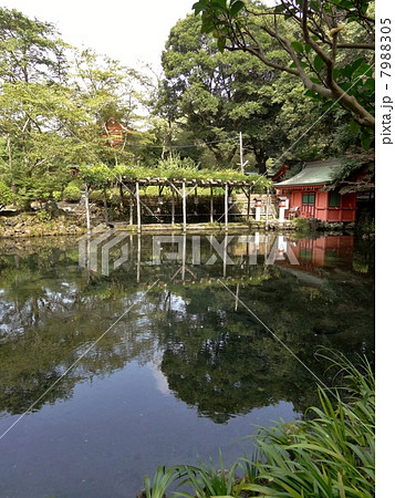 富士山本宮浅間大社　湧玉池 7988305