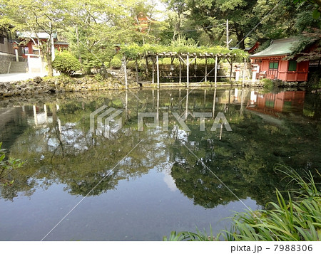 富士山本宮浅間大社　湧玉池 7988306