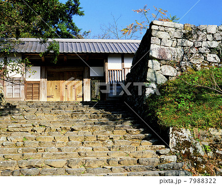 秋月城址 7988322