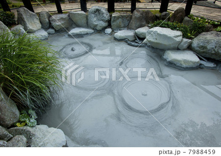 鬼石坊主地獄 鬼石坊主地獄 7988459