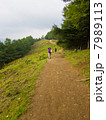 登山道（七つ石山-雲取山区間の石尾根）と登山者2名 7989113