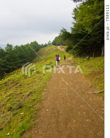 登山道(七つ石山-雲取山区間の石尾根)と登山者2名 登山道(七つ石山-雲取山区間の石尾根)と登山者2名 7989113
