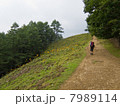 登山道（七つ石山-雲取山区間の石尾根）と登山者2名 7989114
