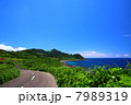 生月島 農免道路 7989319