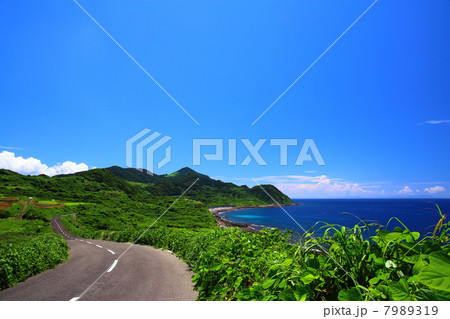 生月島 農免道路 7989319