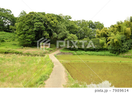 田園風景 7989614