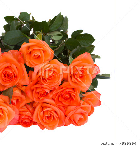 bouquet of orange roses close up bouquet of orange roses close up 7989894