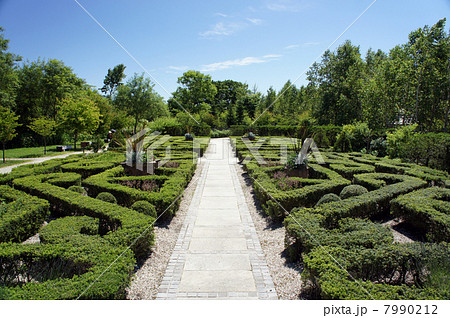 イングリッシュガーデン イングリッシュガーデン 7990212