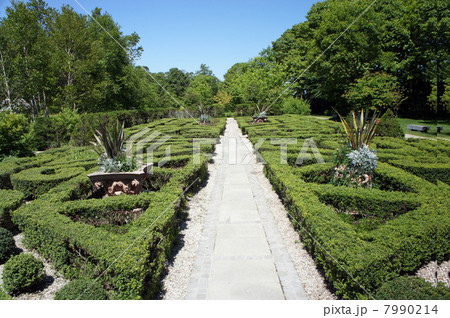 整形式イングリッシュガーデン 整形式イングリッシュガーデン 7990214