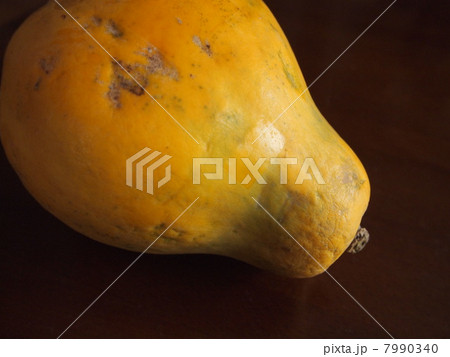 パパイヤ 7990340