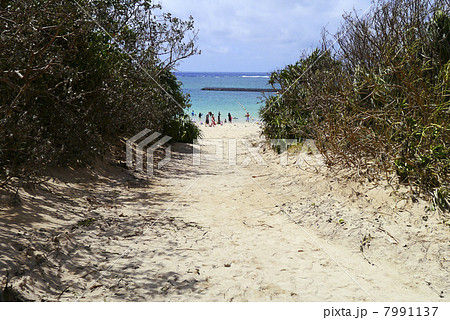マエサトビーチ 7991137