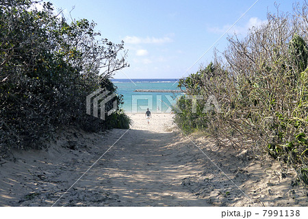 マエサトビーチ 7991138