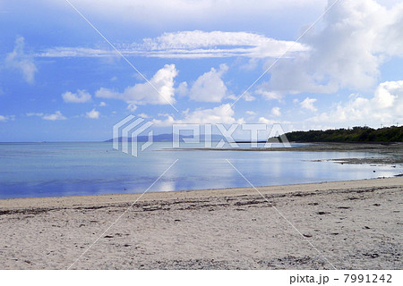 コンドイビーチ コンドイビーチ 7991242