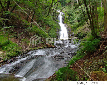 日光市 寂光の滝 日光市 寂光の滝 7991300