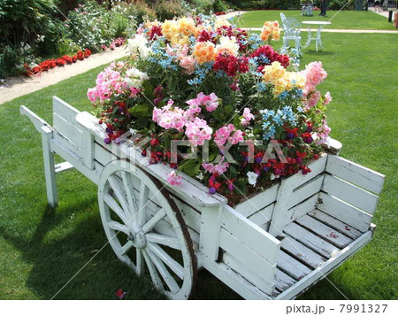 大きな活花 大きな活花 7991327