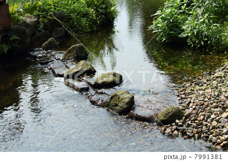 目黒川緑道 目黒川緑道 7991381