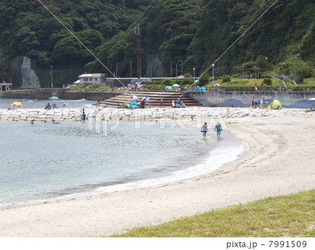興津海水浴場と海水浴客 興津海水浴場と海水浴客 7991509
