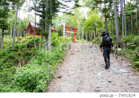 二荒山神社へ向かう男性登山客 7991824