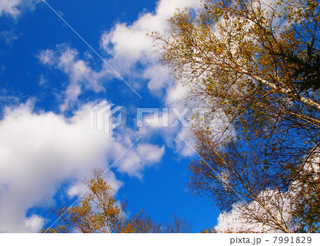 10月の空 7991829